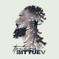 Bittuev - простота